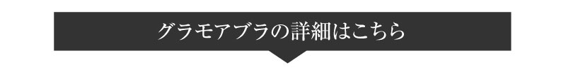 グラモアブラ3点セット 福袋 育乳ブラ