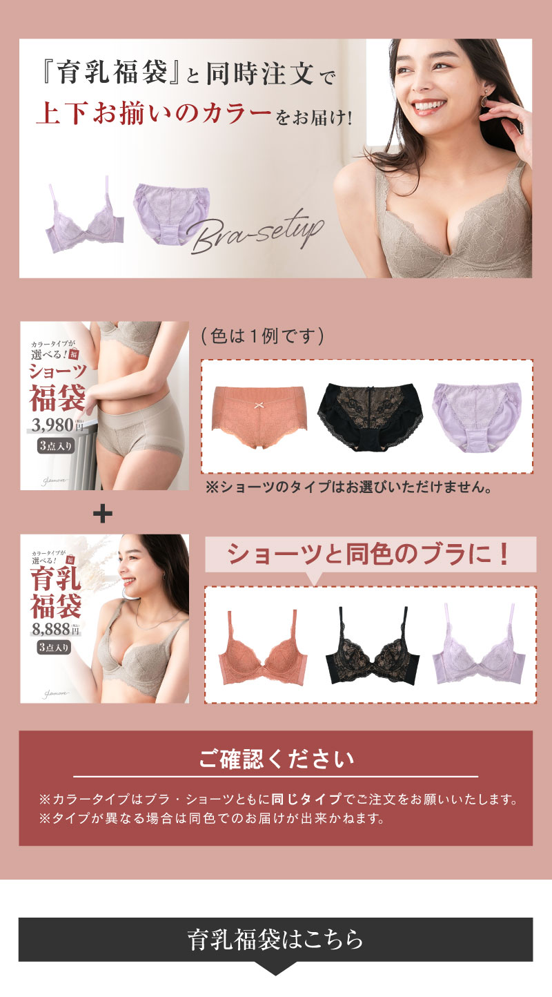 グラモアブラ3点セット 福袋 育乳ブラ