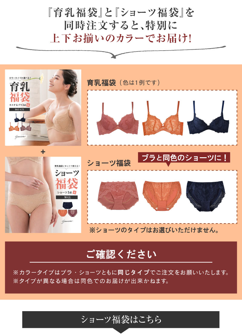キスするブラ3点セット 福袋 育乳ブラ