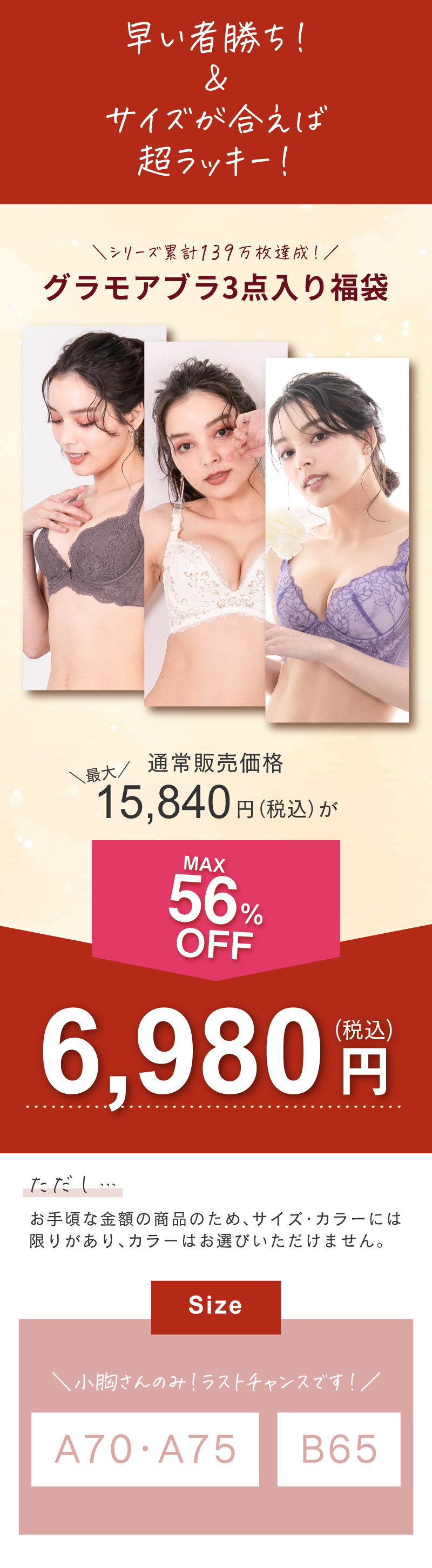 グラモアブラ3点セット 福袋 育乳ブラ