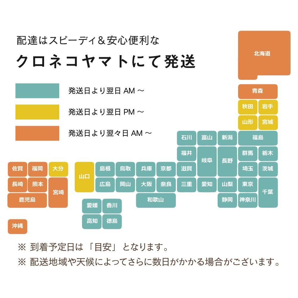 グラモアコレクションビジューブラ ヒップハングショーツ | glamore